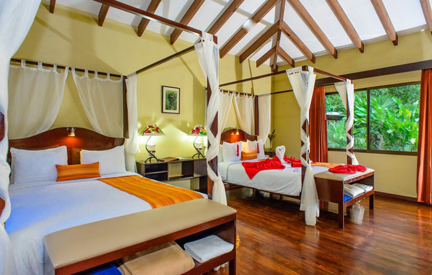 Fully Equipped Luxury Rooms