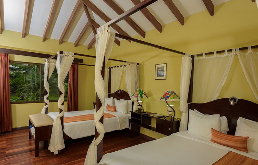 Fully Equipped Luxury Rooms