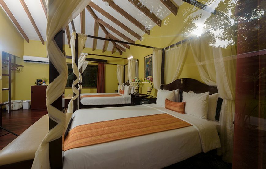 Fully Equipped Luxury Rooms