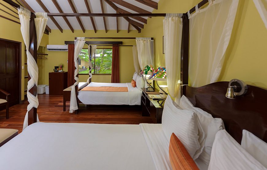 Fully Equipped Luxury Rooms