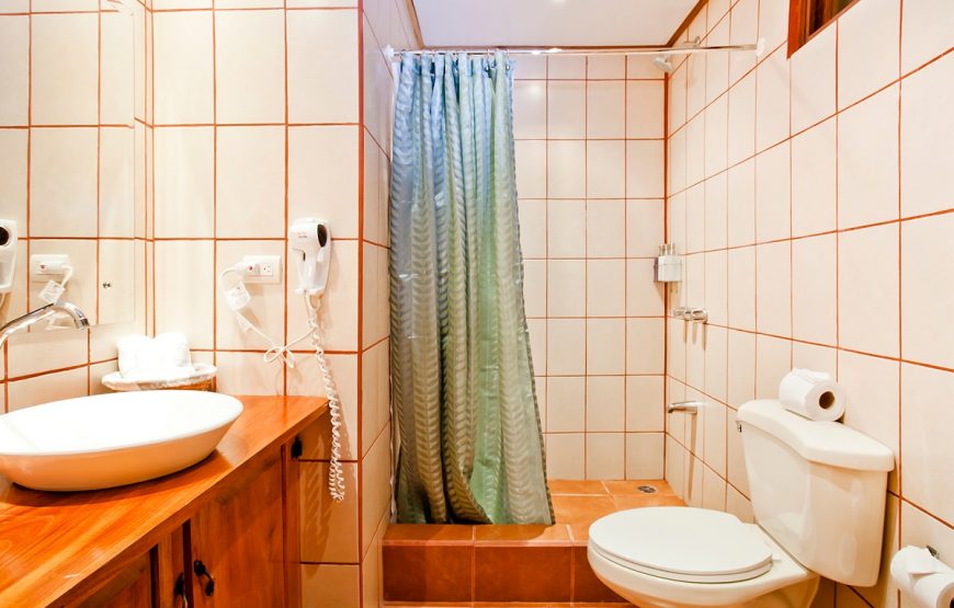 Ground Floor Garden Room