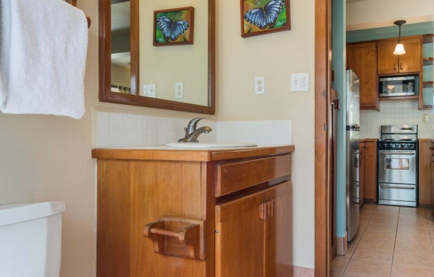 Pool Vıew – Lower Level Suites