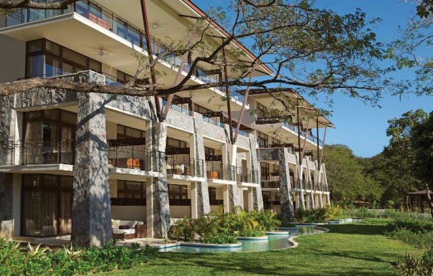 Junior Suite Tropical View