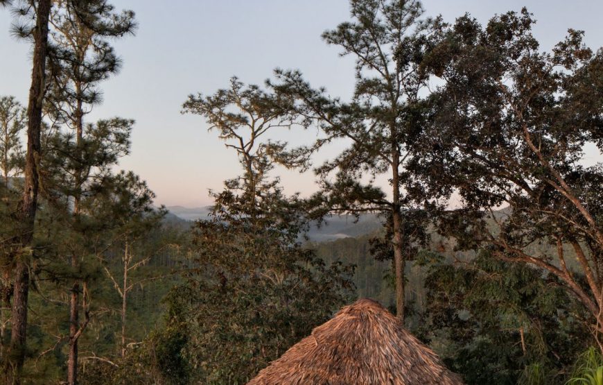 Mountain View Cabana