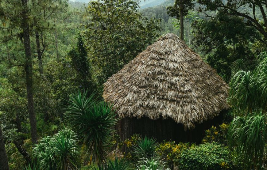 Mountain View Cabana