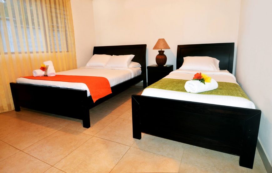 Junior Suite Garden View