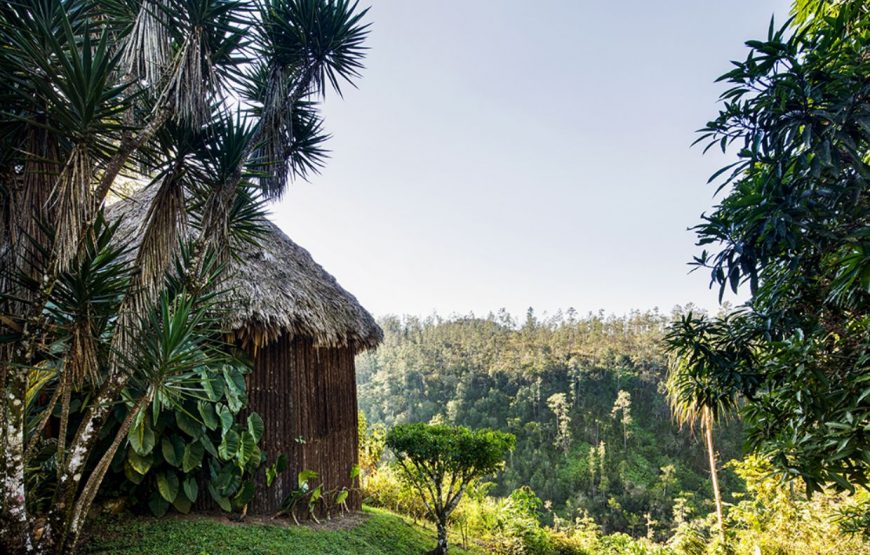 Mountain View Cabana