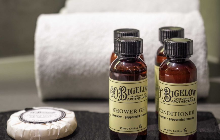 Junior Suite  with 1 King-size bed