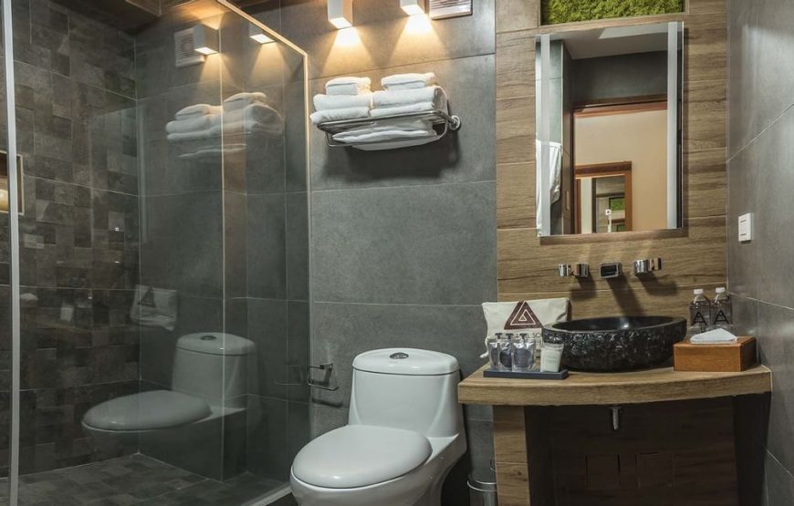 Standard Mountain View